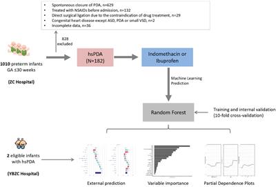 An interpretable machine-learning model for predicting the efficacy of nonsteroidal anti-inflammatory drugs for closing hemodynamically significant patent ductus arteriosus in preterm infants